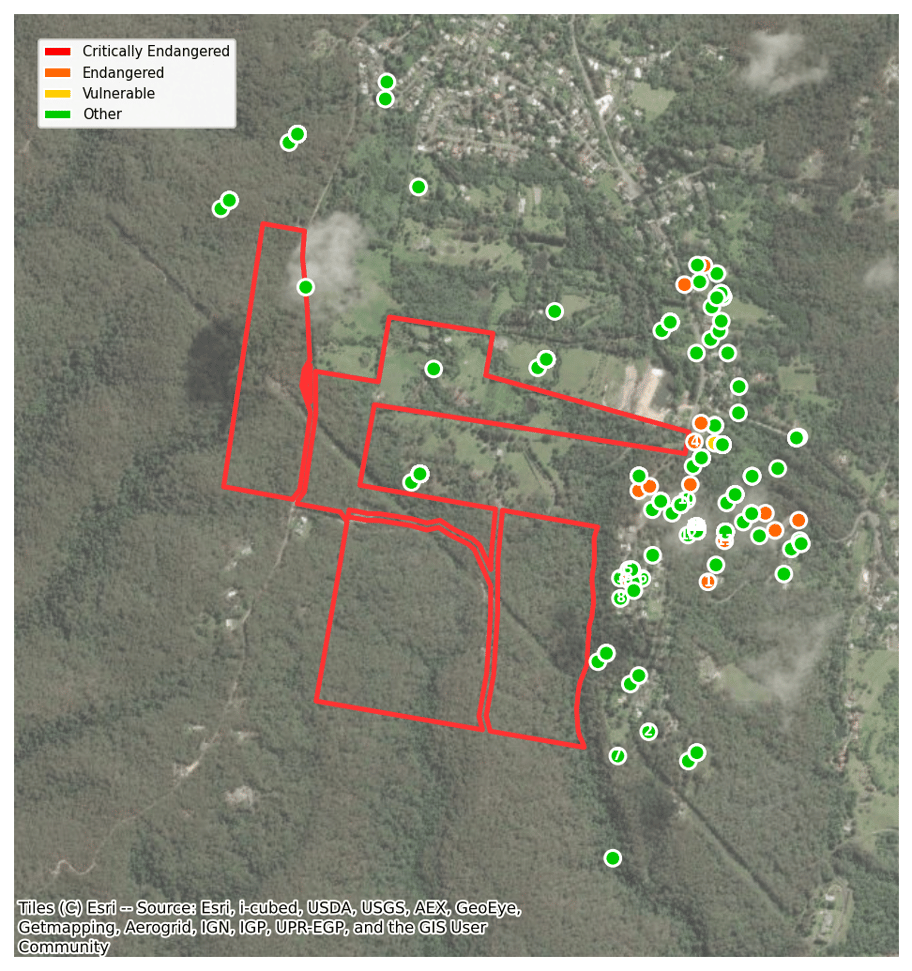 species_07_kurrajong_heights