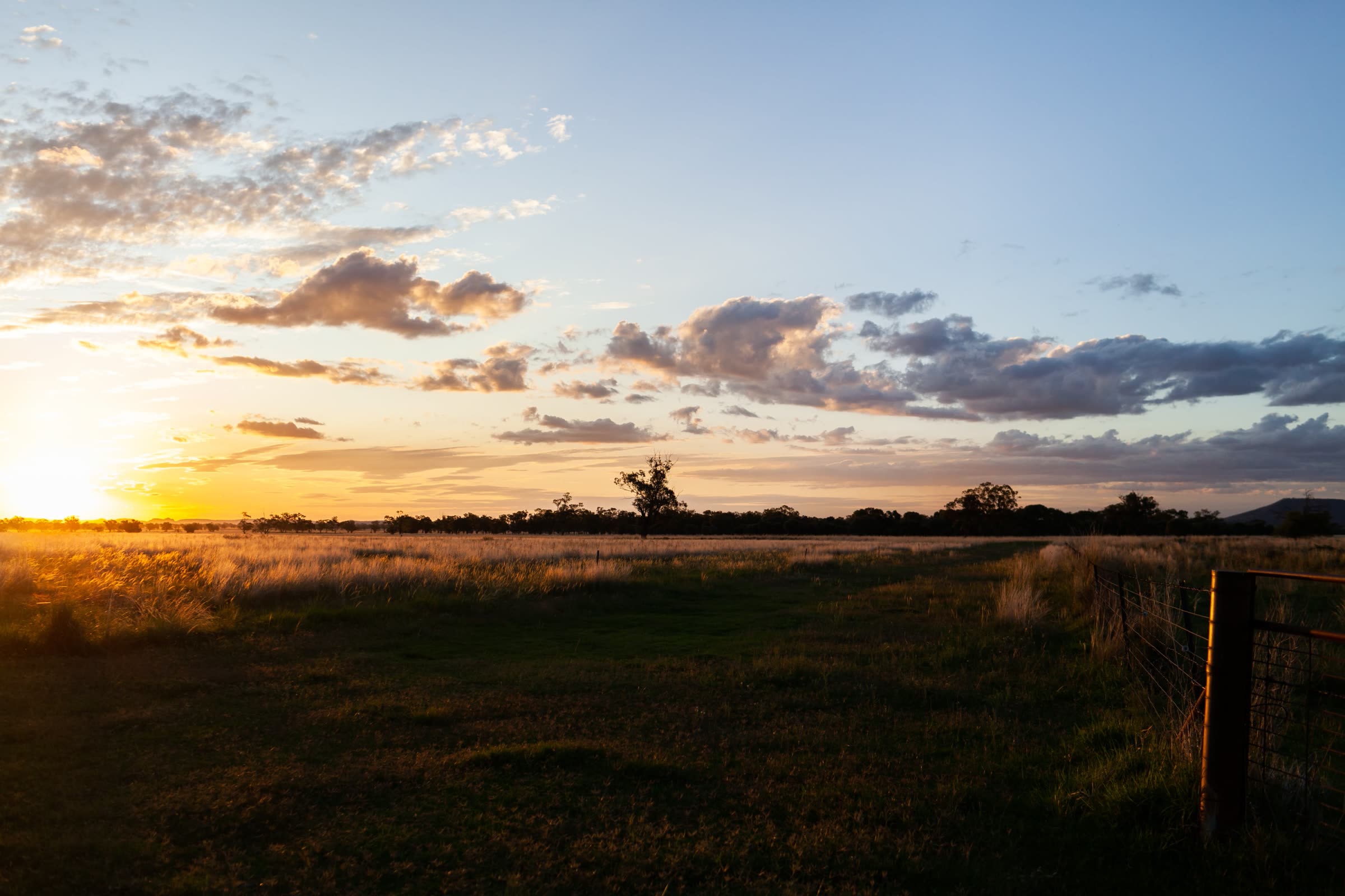Sunset sky over grassy farmland with a fence line near Wean, New South Wales