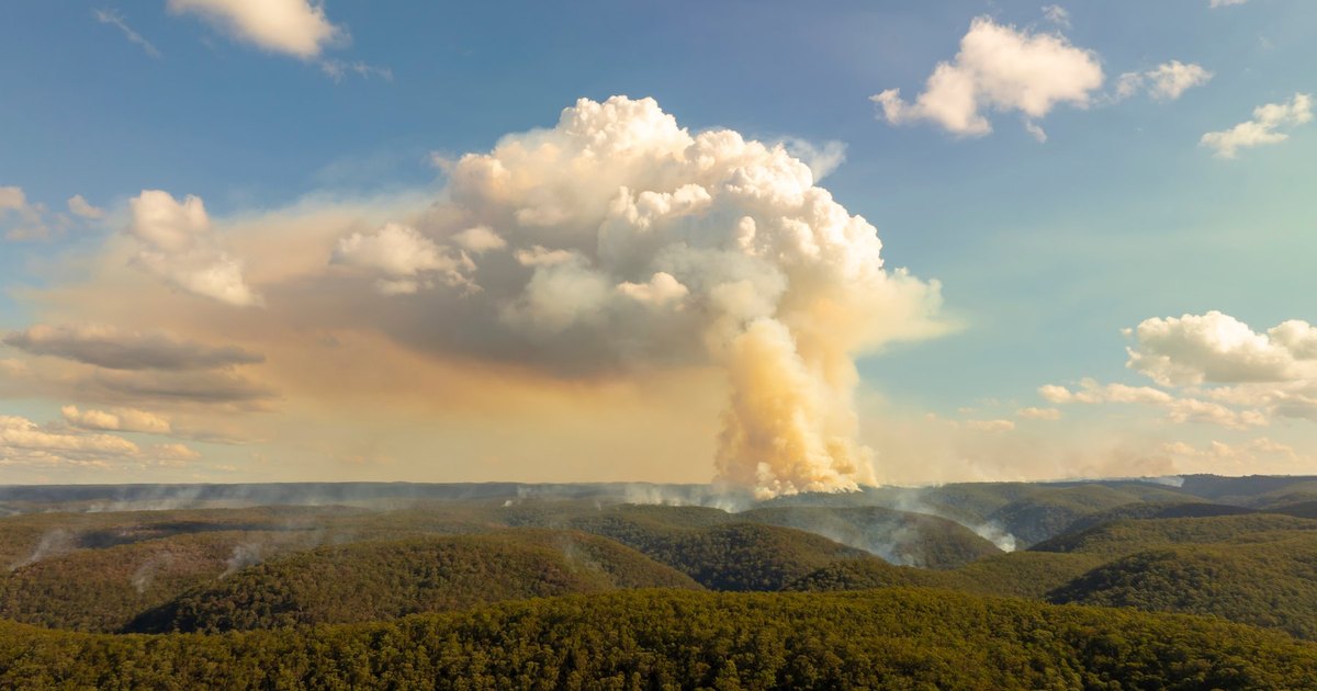 NSW is rewriting its bushfire building rules. What it means for a rural block you are about to buy.