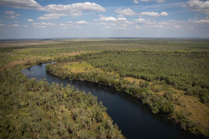 Aerial view of a river through bushland